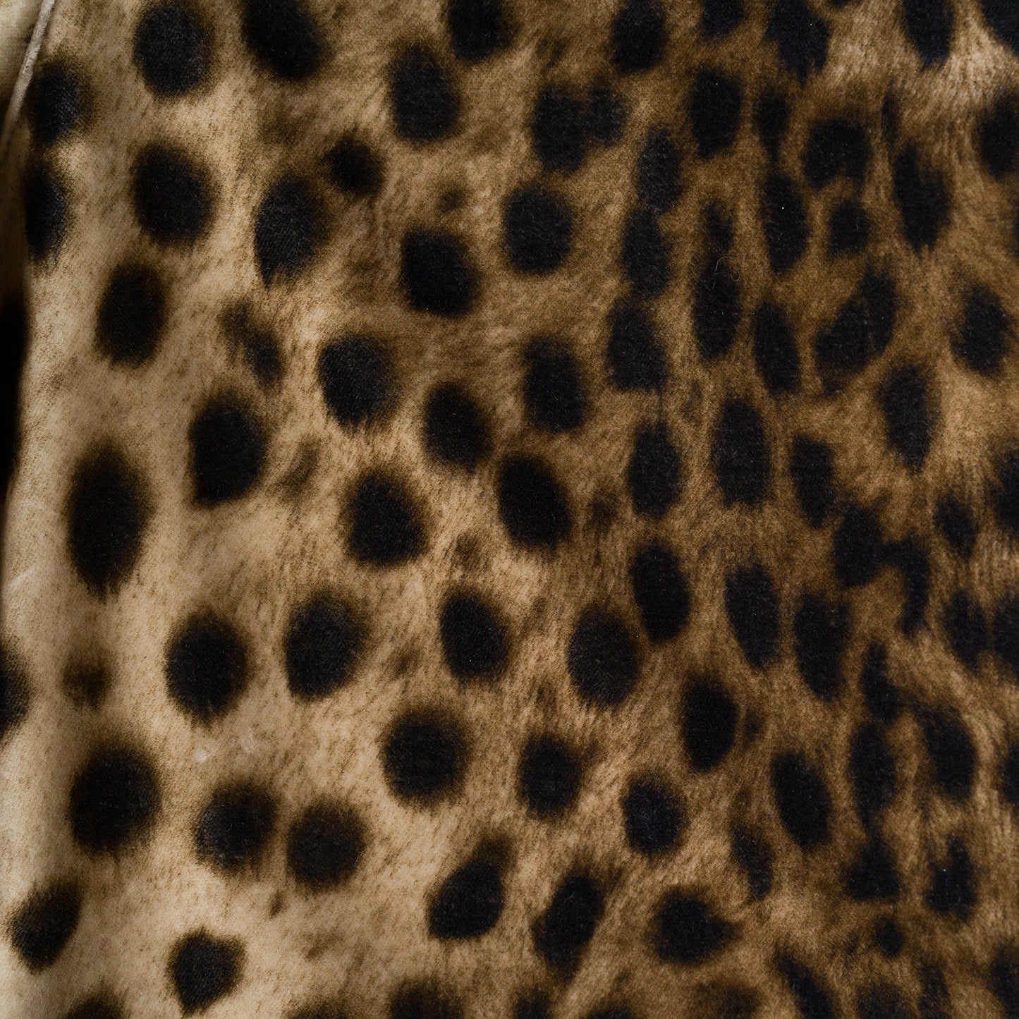 B-ball short motif guépard